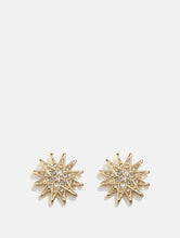 Load image into Gallery viewer, Amelia Liana x Skinnydip Star Stud Earrings