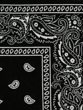 Load image into Gallery viewer, Black Bandana